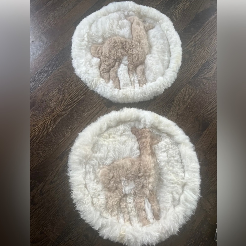 Authentic alpaca Peruvian tapestry decor, bought during a trip.  Never used,